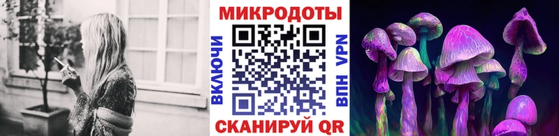 Псилоцибиновые грибы MAGIC MUSHROOMS  Чайковский 