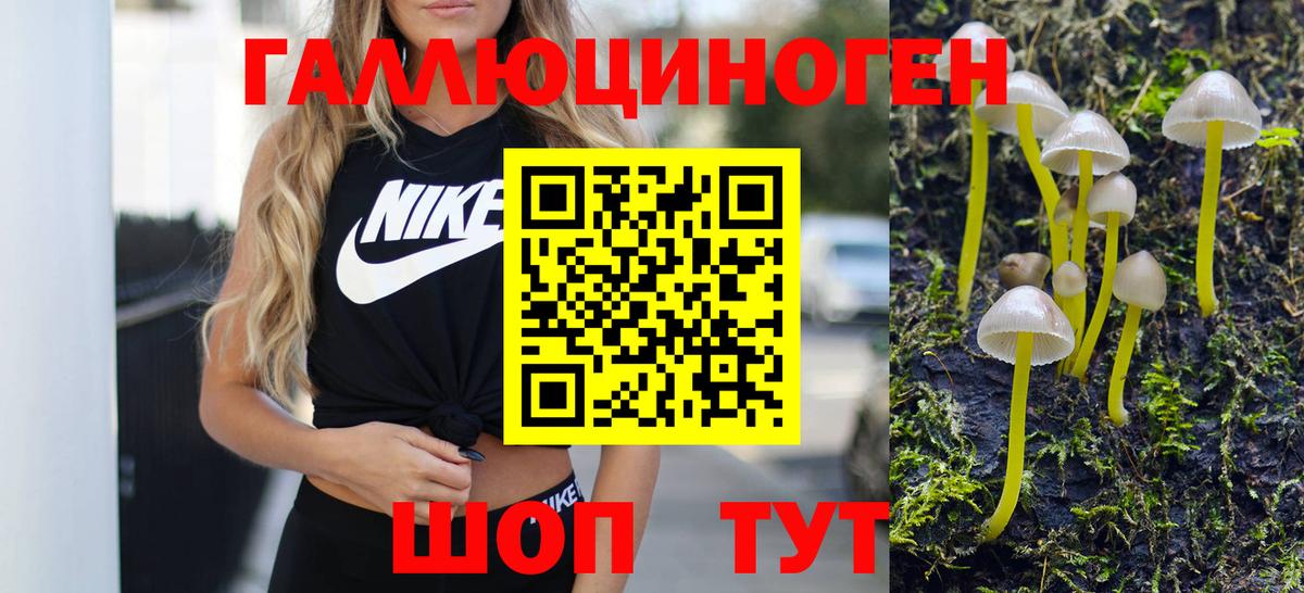 Галлюциногенные грибы MAGIC MUSHROOMS  купить наркотик  Чайковский 