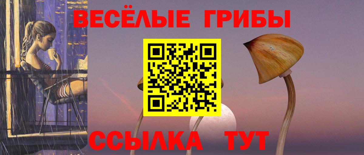Галлюциногенные грибы прущие грибы Чайковский